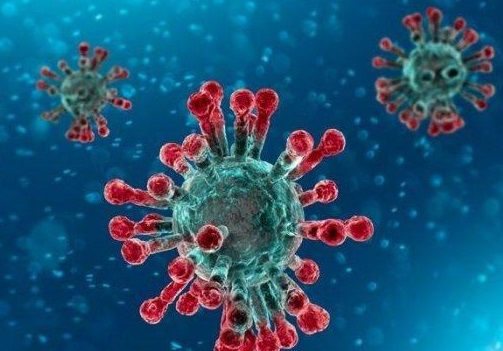 昨增9感染群 涉5州2直辖区