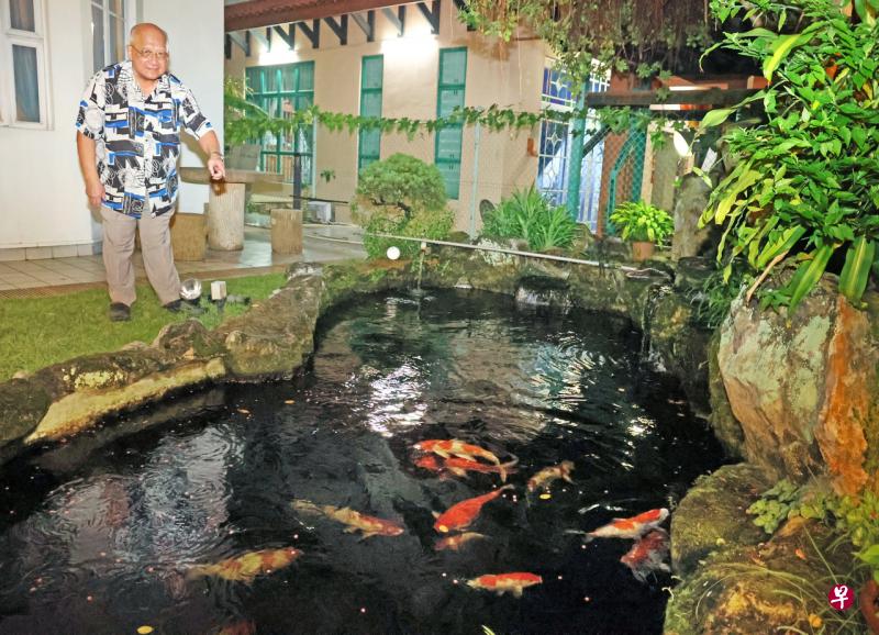 水獭再闯私宅 咬死鲤鱼罗汉鱼