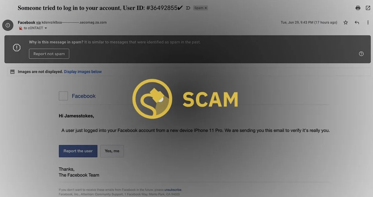 求真/脸书发电邮