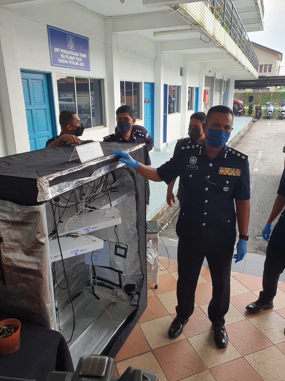 涉毒十年 前宗教歌手公寓种大麻自用被捕