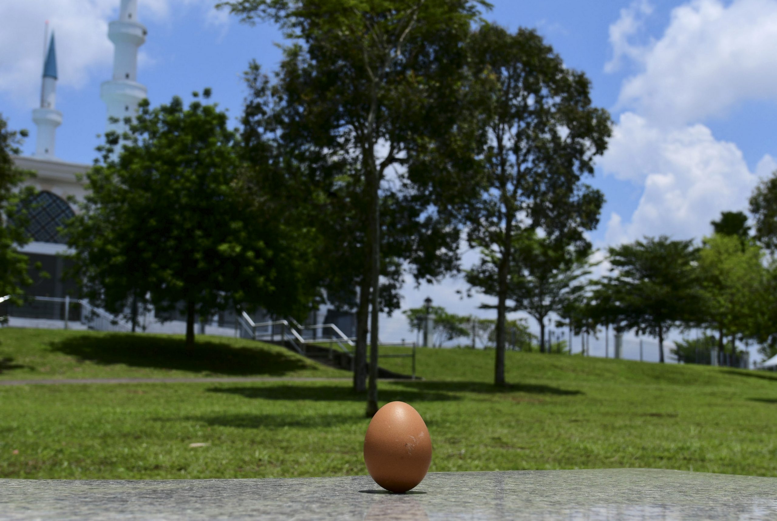 烈阳下成“无影人” 你拍了吗?