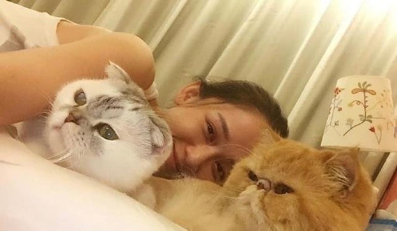 爱猫患癌末期只剩半年命 陈乔恩心痛但不放弃治疗