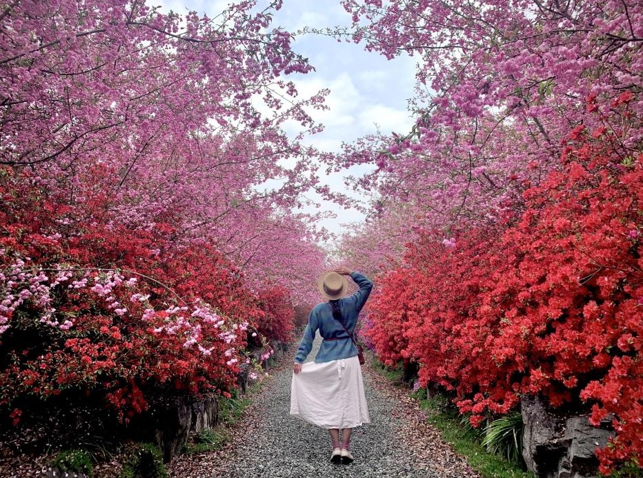 独家|最快8、9月掀报复性旅游潮!业者:旅费增幅20%至30%