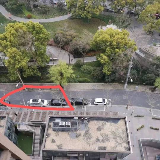 留稿//求真／网传上海树木确诊阳性要隔离14天　官方避谣