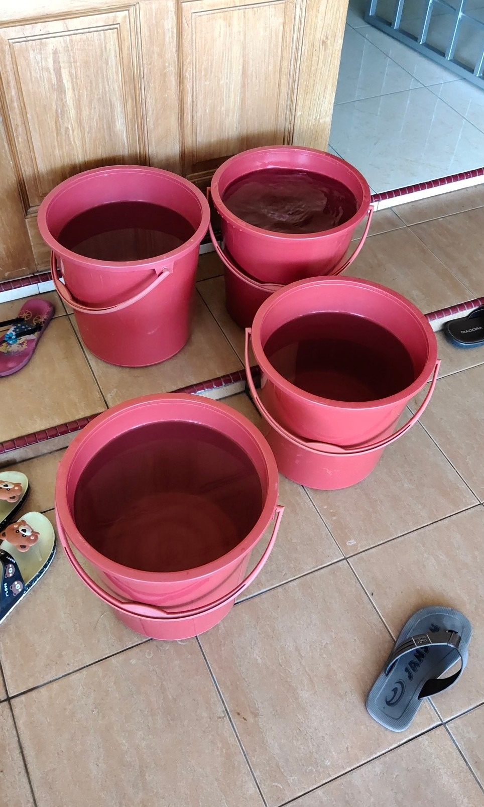 白天断水晚上恢复 水供不稳逾月扑水忙