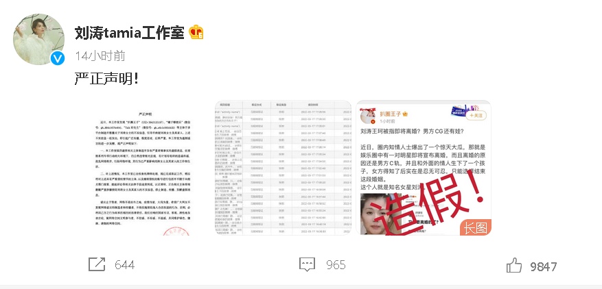 网传丈夫外遇有私生子 刘涛怒告造谣者撇离婚