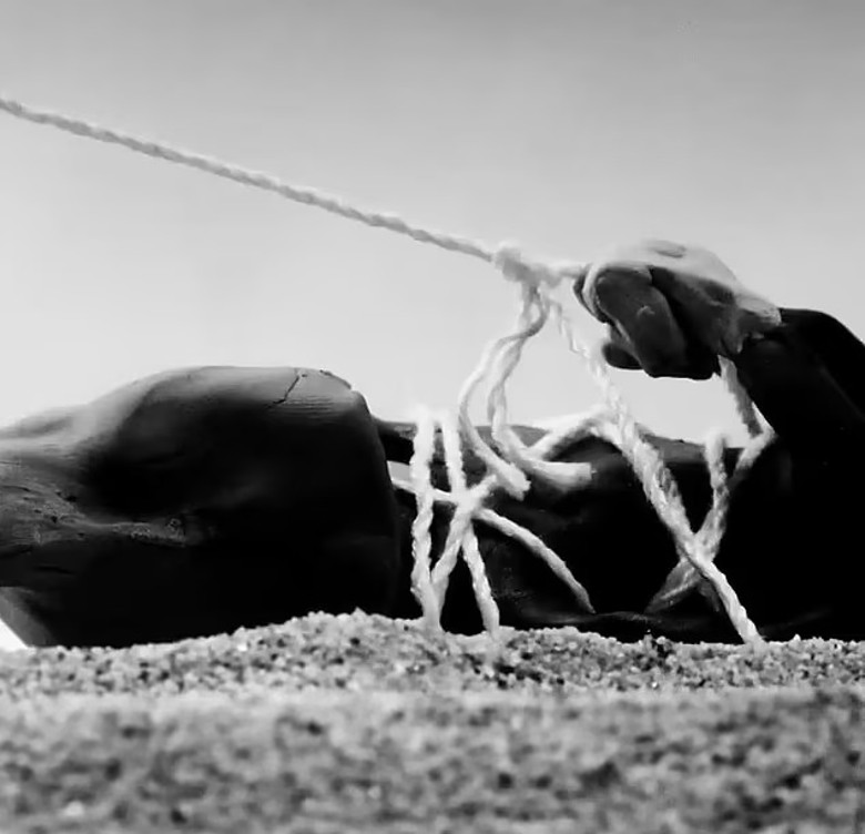 藉新MV歌​折磨情敌 康耶维斯“恐吓”前妻男友