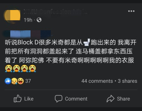 视频 | 宿舍空置2年回房吓了一跳!老鼠咬破马桶盖留下一堆屎