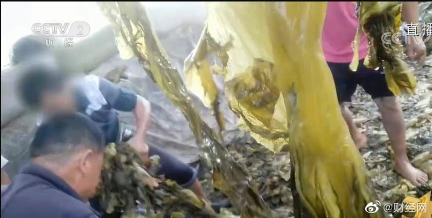 部分老坛酸菜包在土坑腌制 康师傅统一股价齐跌