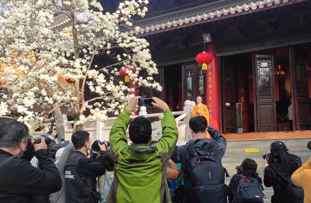 长太帅爆红！粉丝朝圣挤爆寺庙狂拍 法师崩溃：出家比在家累