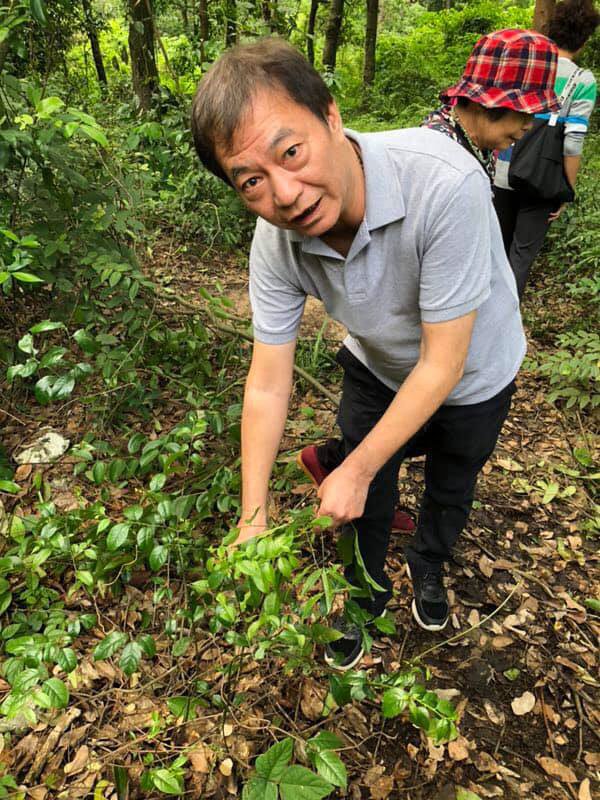 阿灿打3针仍2度染疫 计划大马种有机榴梿