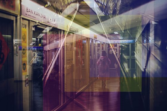 陈子韩/关于为什么会有生死这件事情