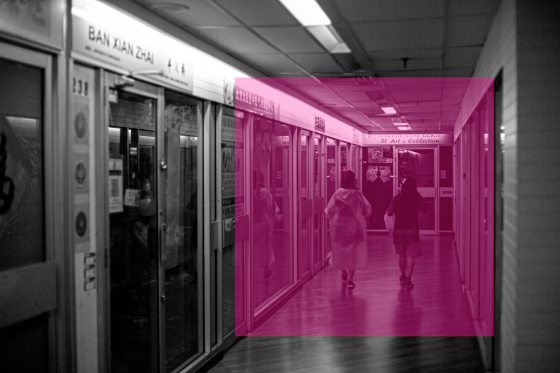 陈子韩/关于为什么会有生死这件事情