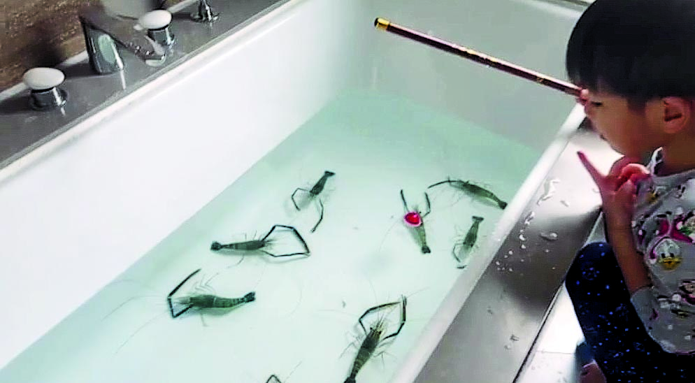 黎诺懿留家抗疫陪儿子 豪宅设私人钓虾场解闷