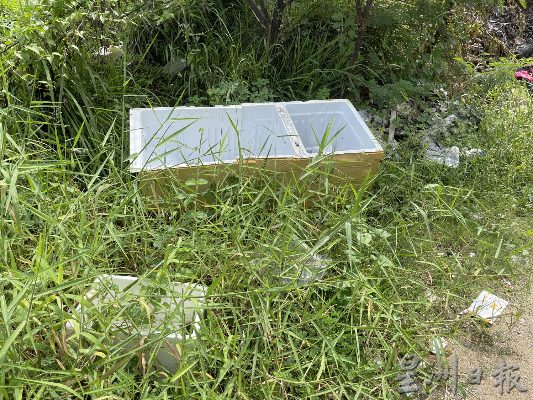 默迪卡再也花园污水处理站 空地沦非法垃圾场