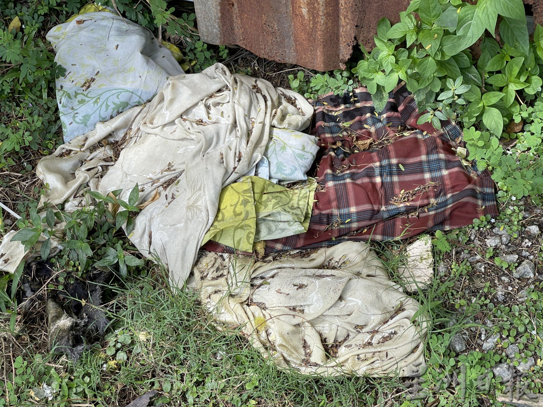 默迪卡再也花园污水处理站 空地沦非法垃圾场