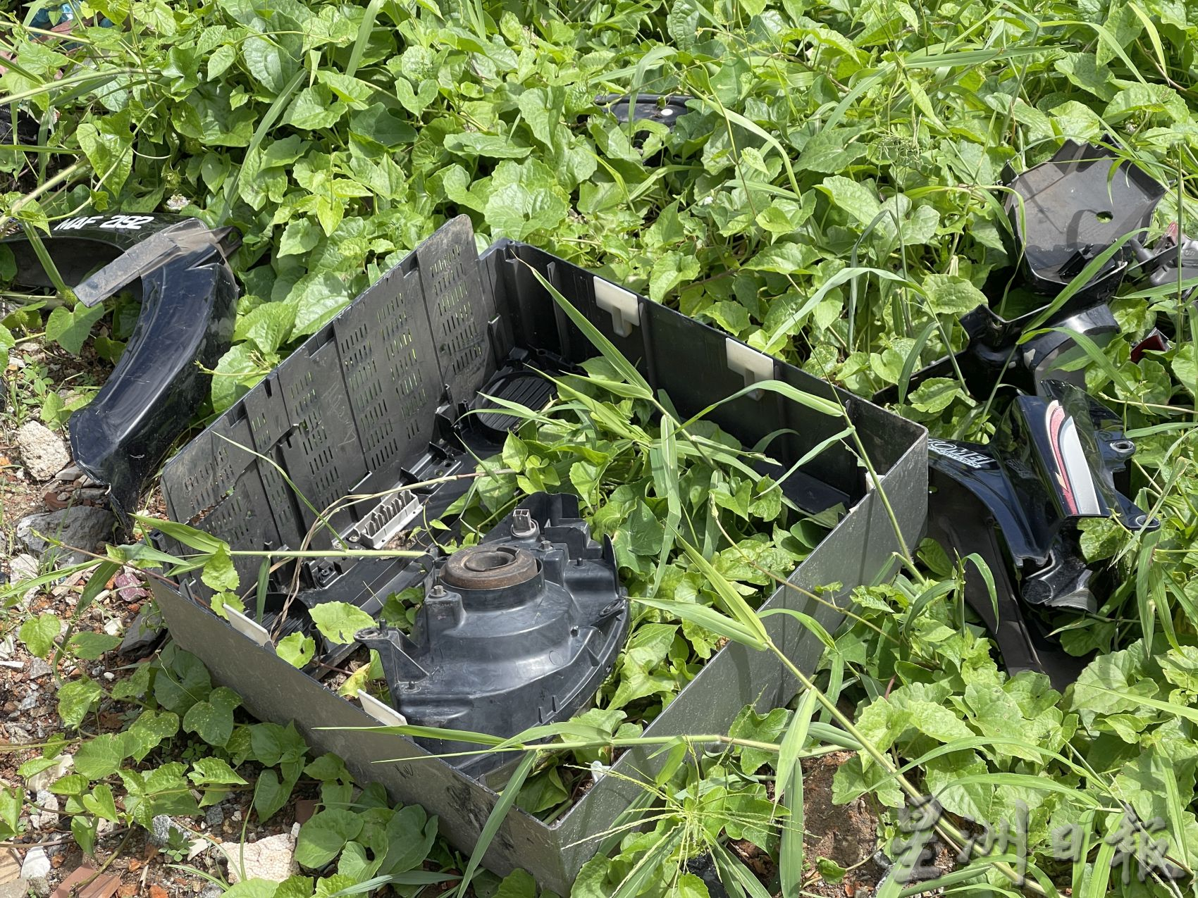 默迪卡再也花园污水处理站 空地沦非法垃圾场