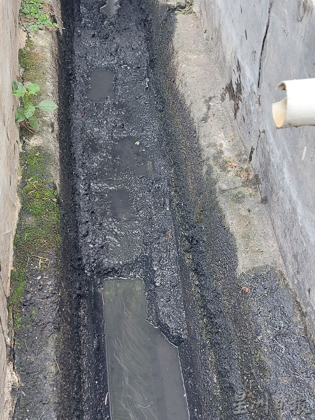 （古城封底主文）清理玛琳再也查希第18路水沟