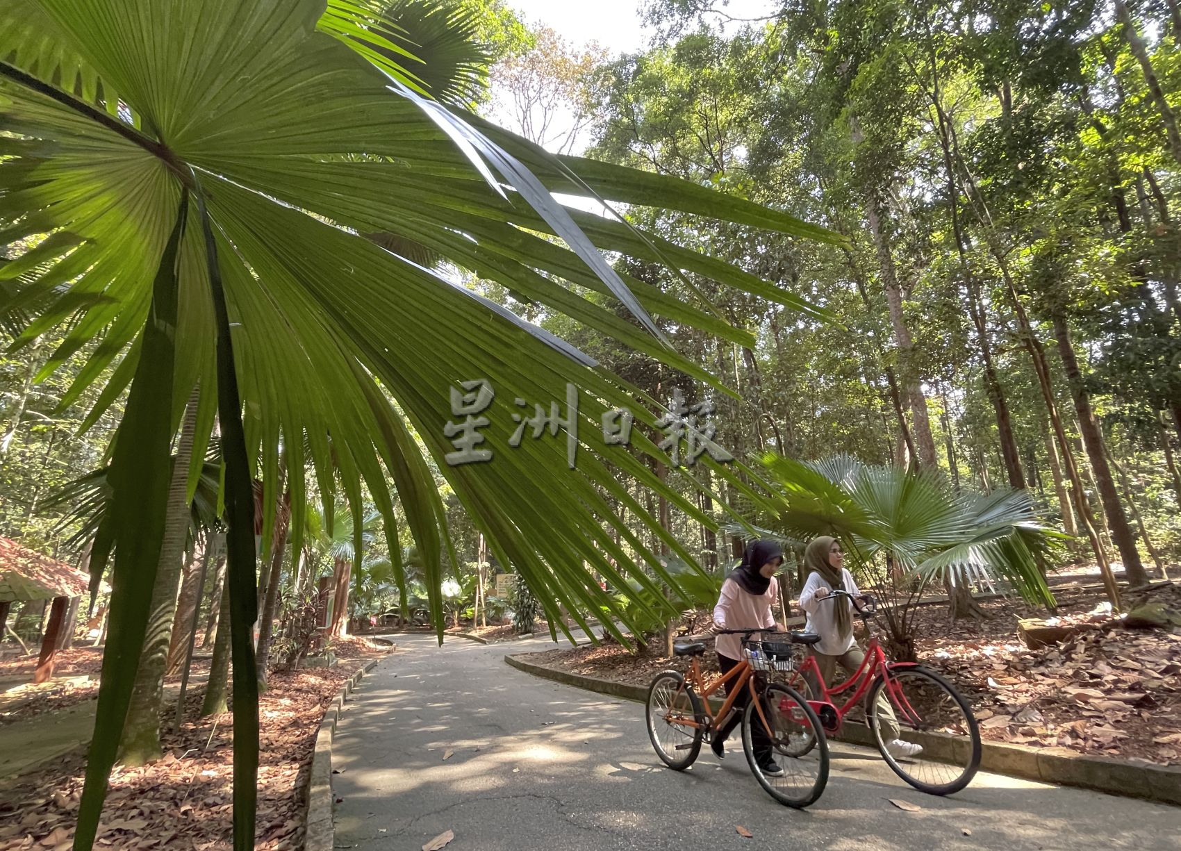 （古城第二版主文）不想人挤人缺乏安全感，可到植物公园消闲运动