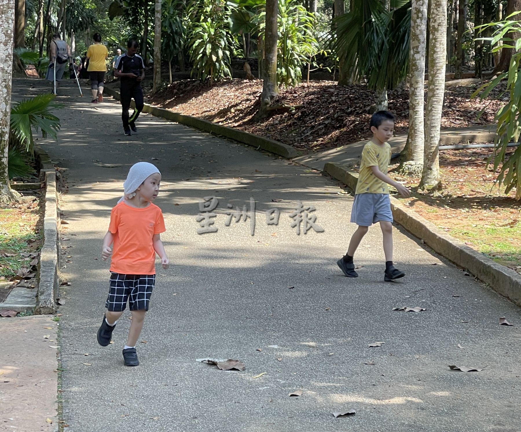 （古城第二版主文）不想人挤人缺乏安全感，可到植物公园消闲运动