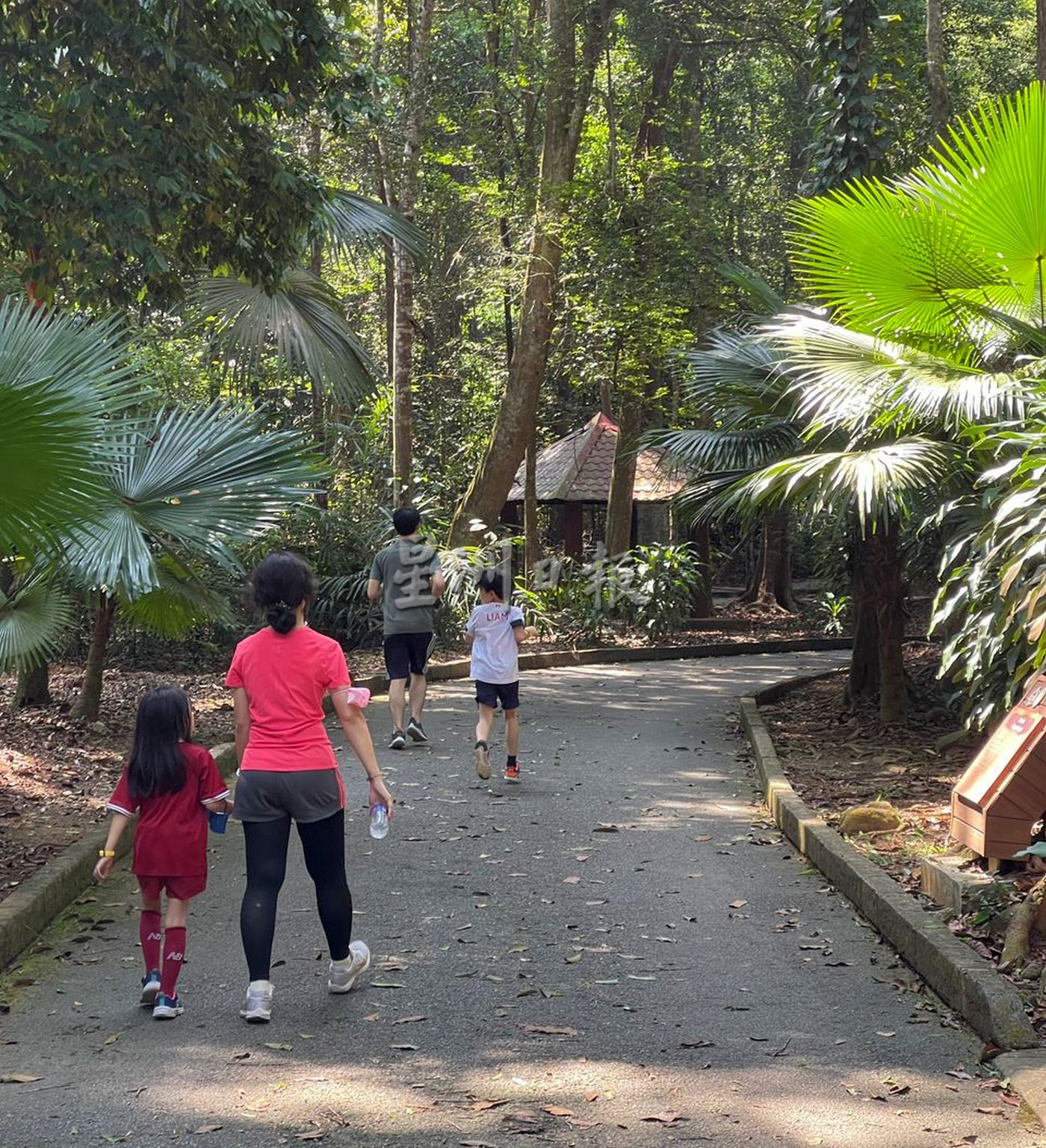 （古城第二版主文）不想人挤人缺乏安全感，可到植物公园消闲运动