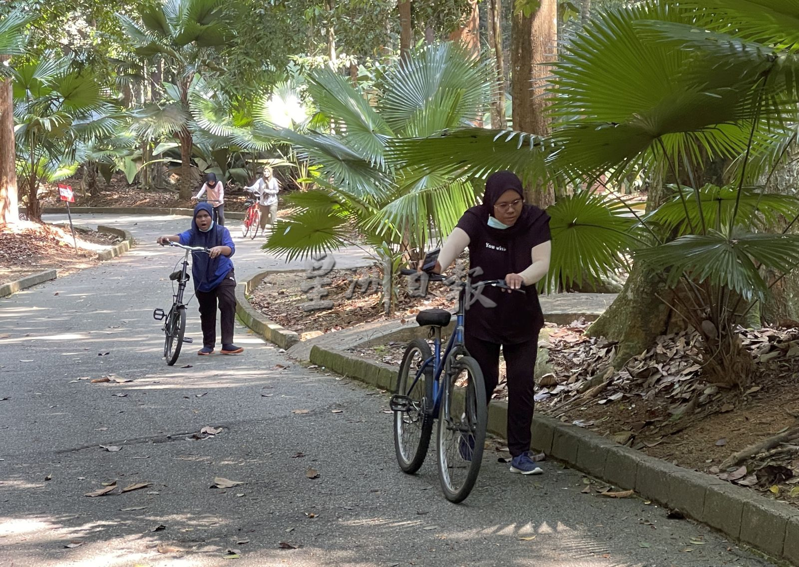 （古城第二版主文）不想人挤人缺乏安全感，可到植物公园消闲运动