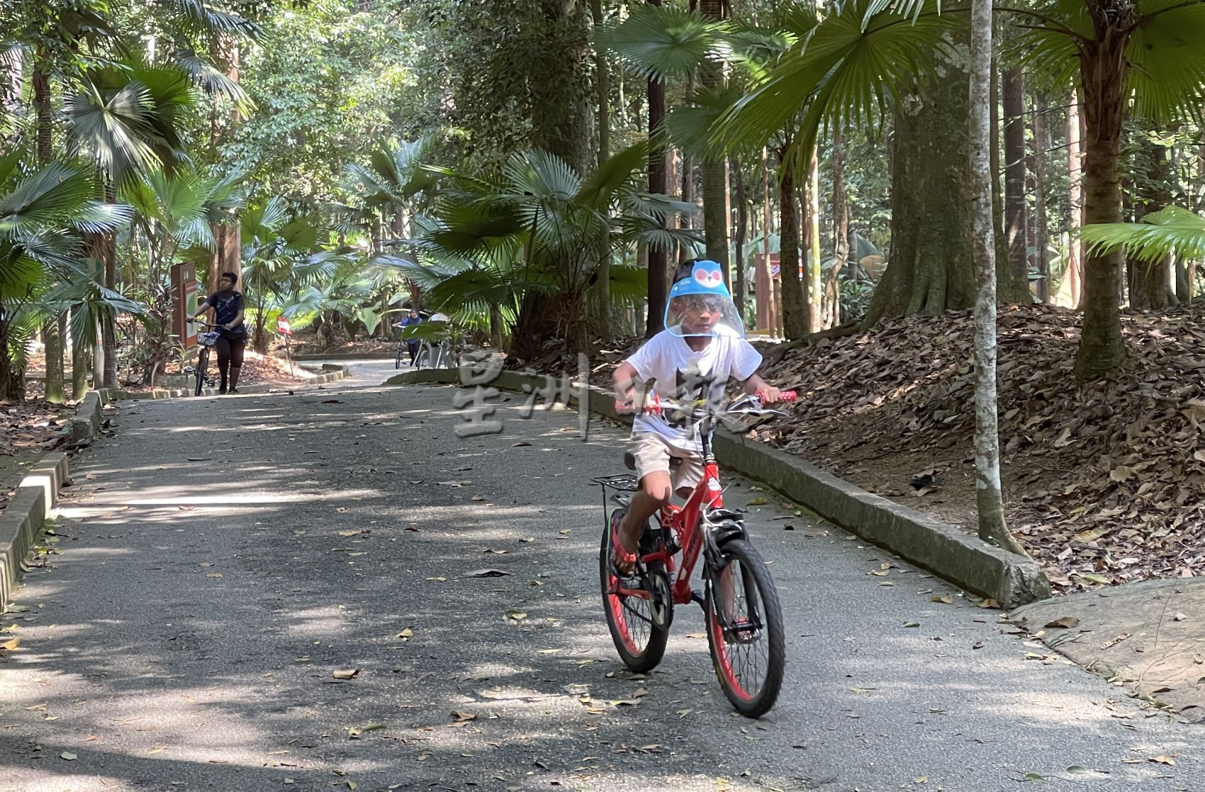 （古城第二版主文）不想人挤人缺乏安全感，可到植物公园消闲运动
