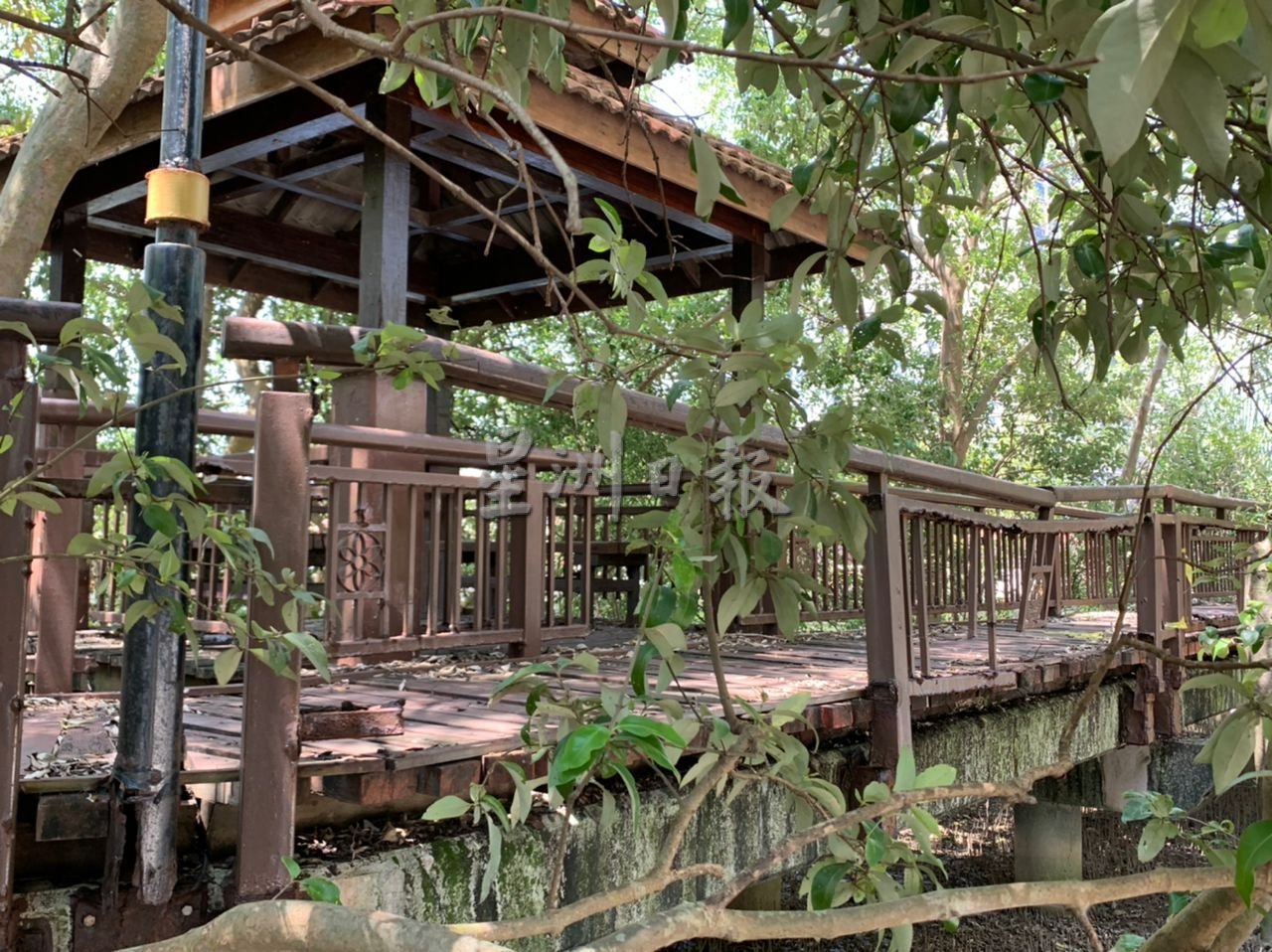 (古城第二版主文)海龙宫电缆被偷 毛贼后方木桥削电缆取铁铜丝