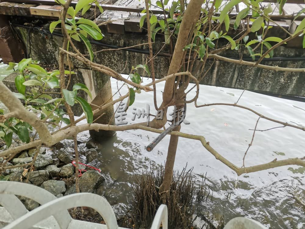 (古城第二版主文)海龙宫电缆被偷 毛贼后方木桥削电缆取铁铜丝