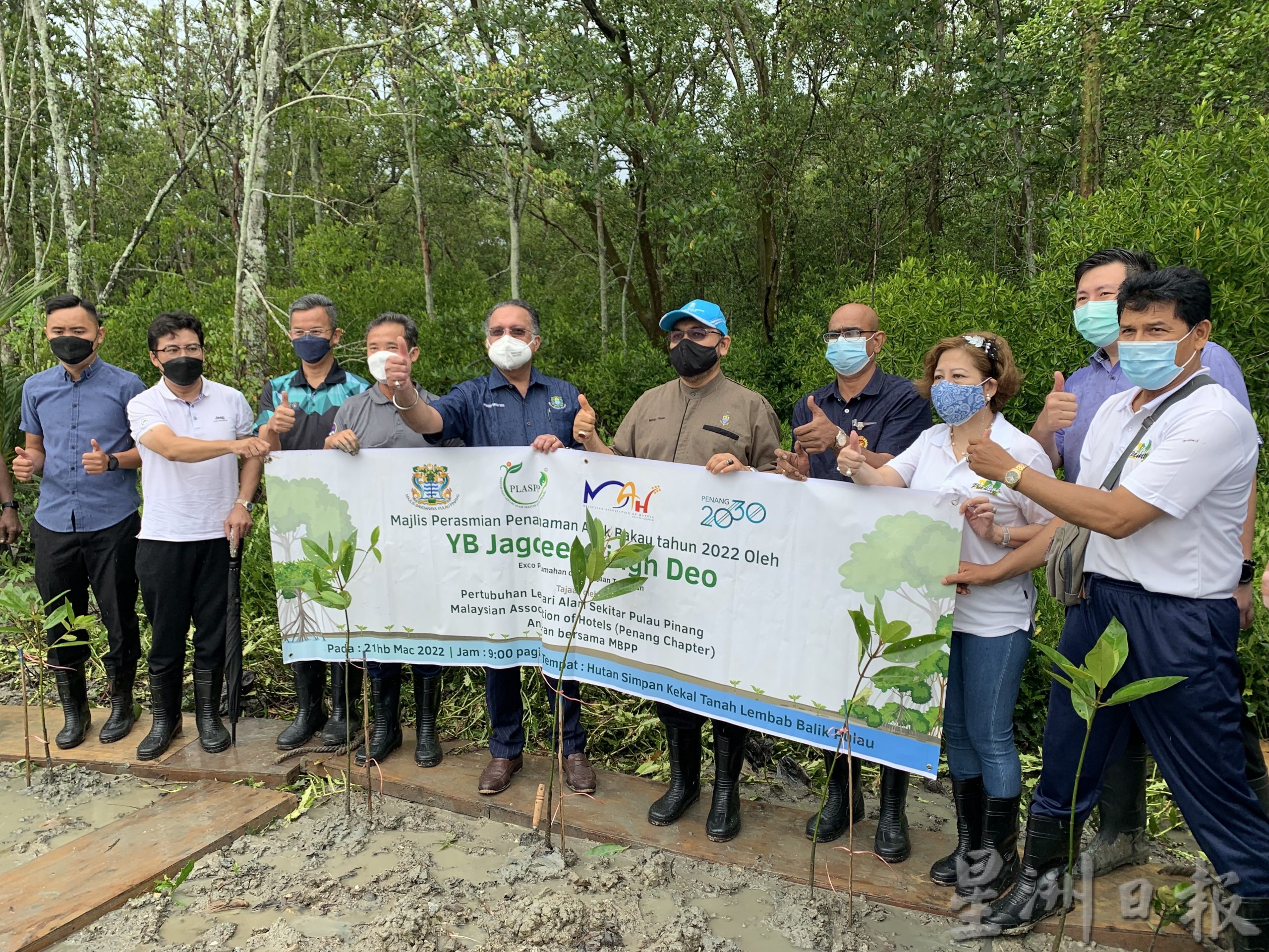 (大北马)玛琳都海边种植2022棵红树