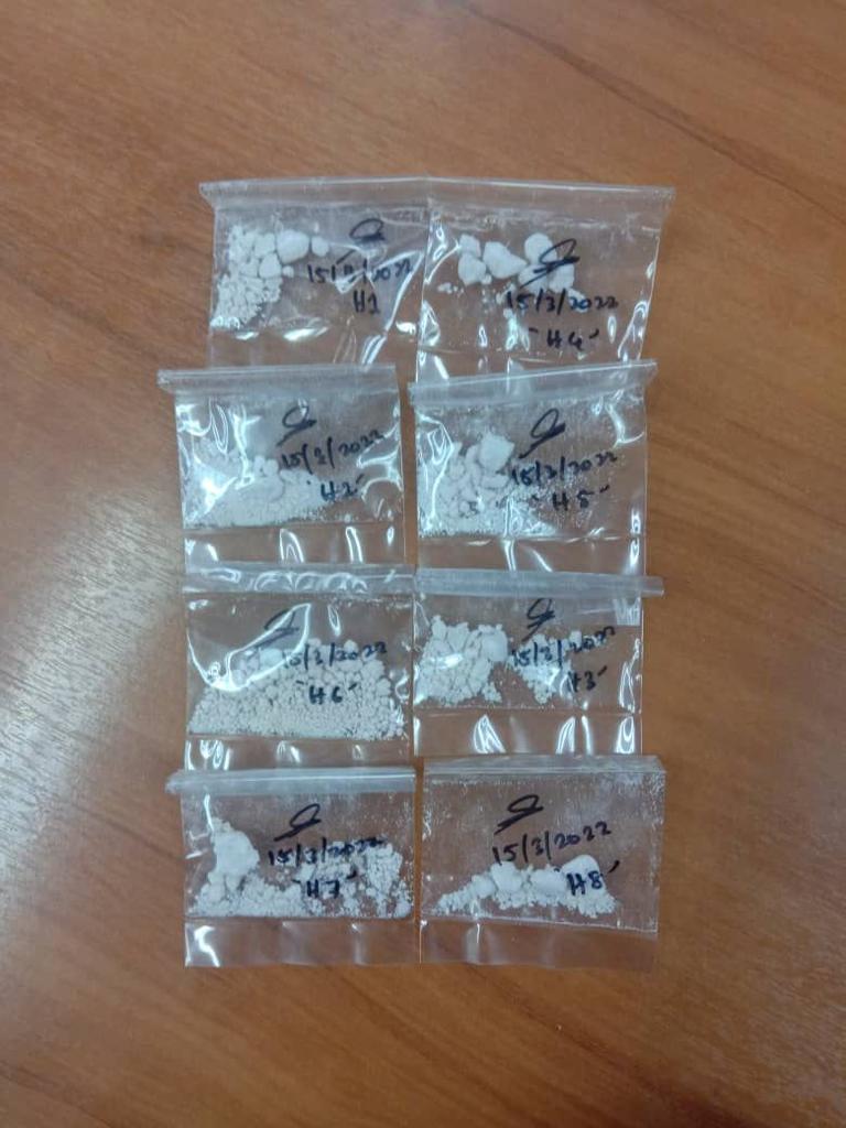 NS波德申/波警扫毒,14毒贩及毒虫落网