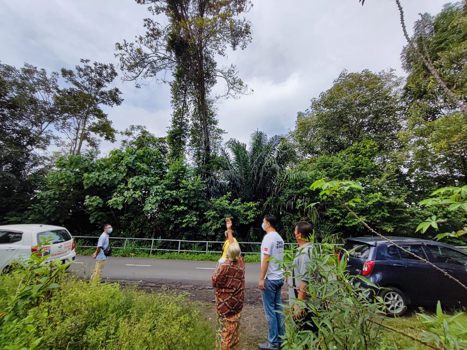 NS马口/张聒翔:铁道资产机构应妥善管理铁轨两端杂草小树问题