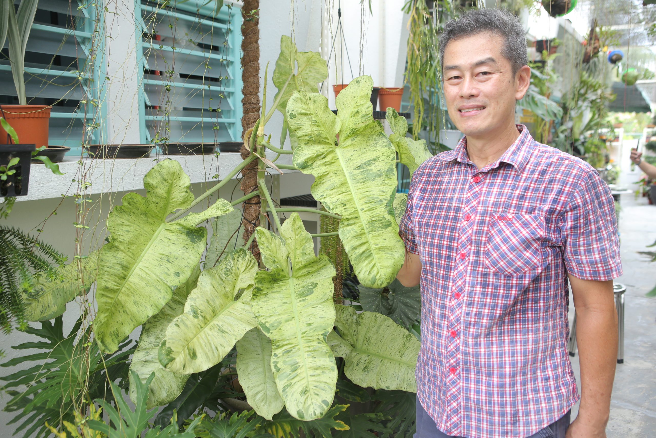 ★4月11日刊登／大霹雳封底主文／【农的传人】／了解属性选对介质好种花 打造专属园艺小天地