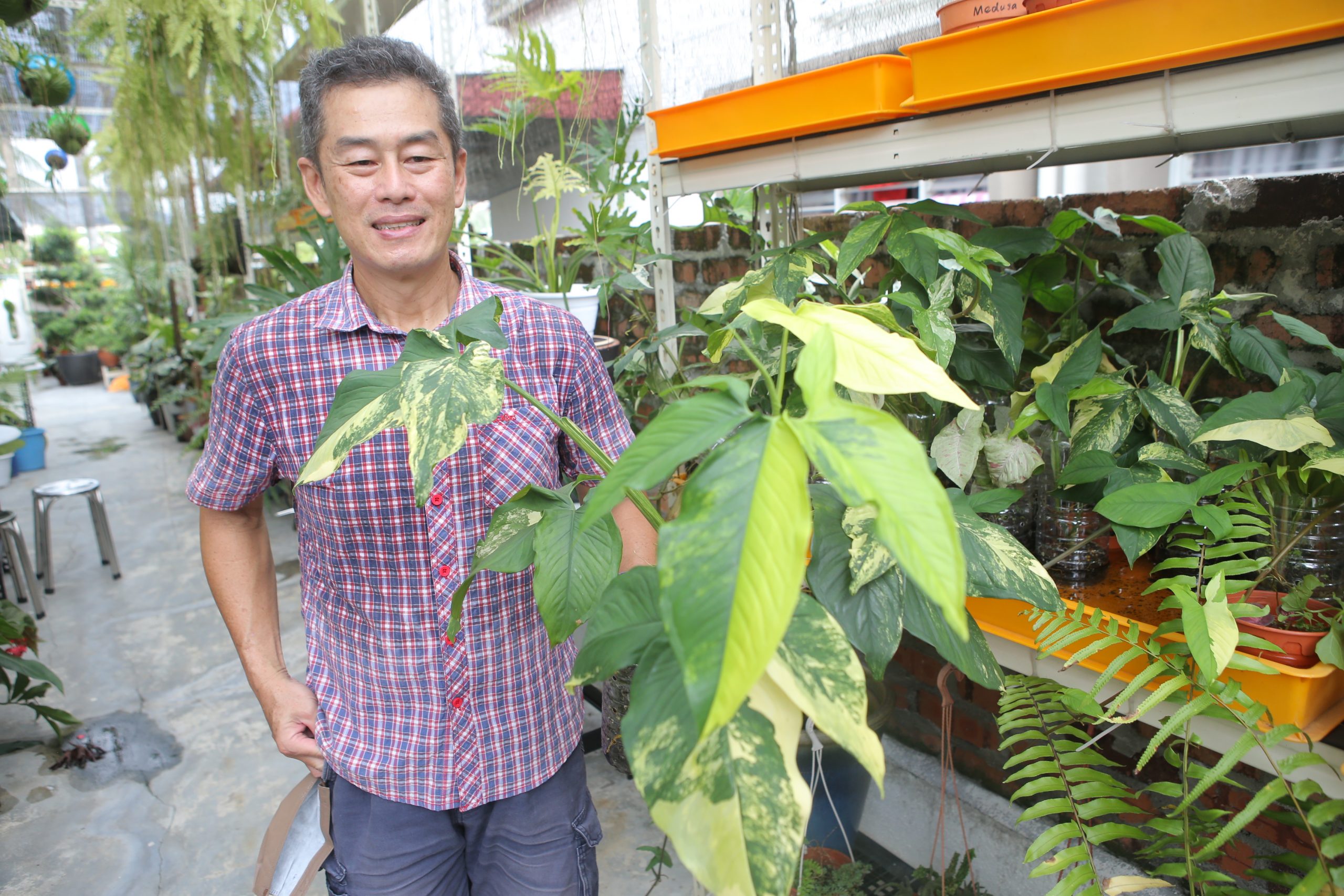 ★4月11日刊登／大霹雳封底主文／【农的传人】／了解属性选对介质好种花 打造专属园艺小天地