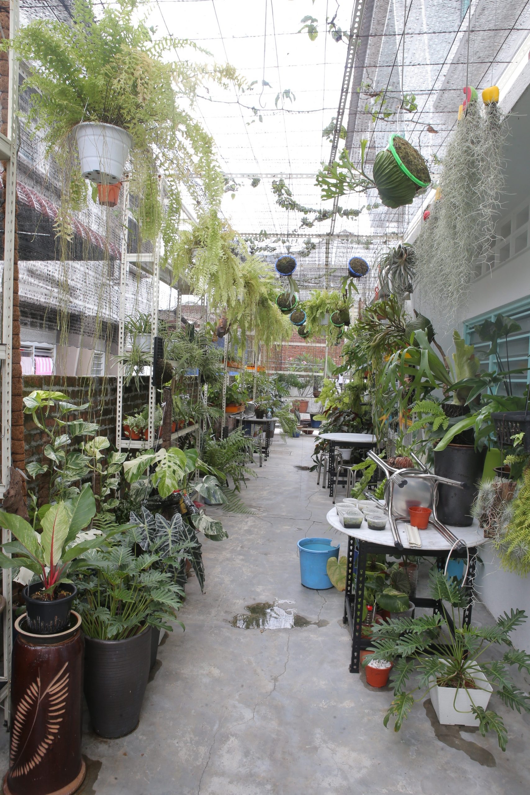 ★4月11日刊登／大霹雳封底主文／【农的传人】／了解属性选对介质好种花 打造专属园艺小天地