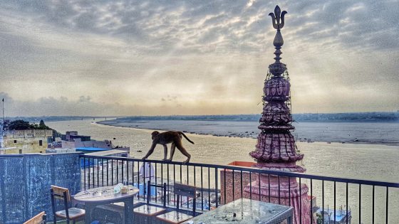 【印度】印度圣城瓦拉纳西,最后一场洗礼