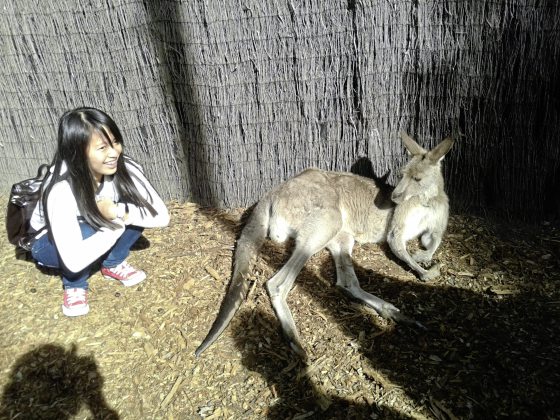 【澳洲】不上天下水!探索黄金海岸不一样的魅力