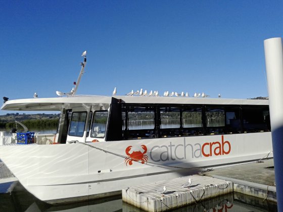 【澳洲】不上天下水!探索黄金海岸不一样的魅力