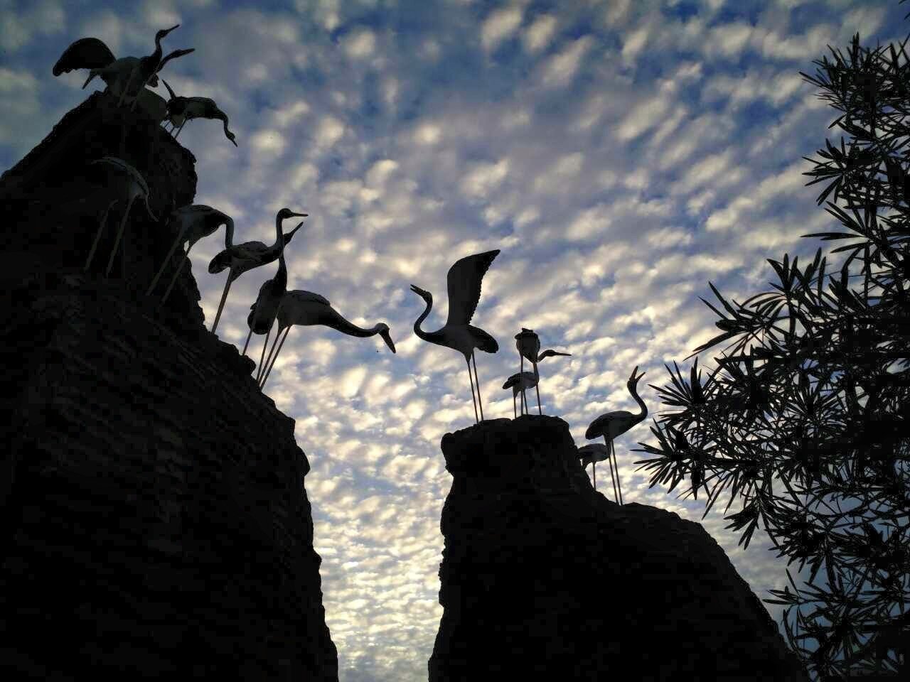 东：《东游记》明光圣法殿十年打造旅游景点