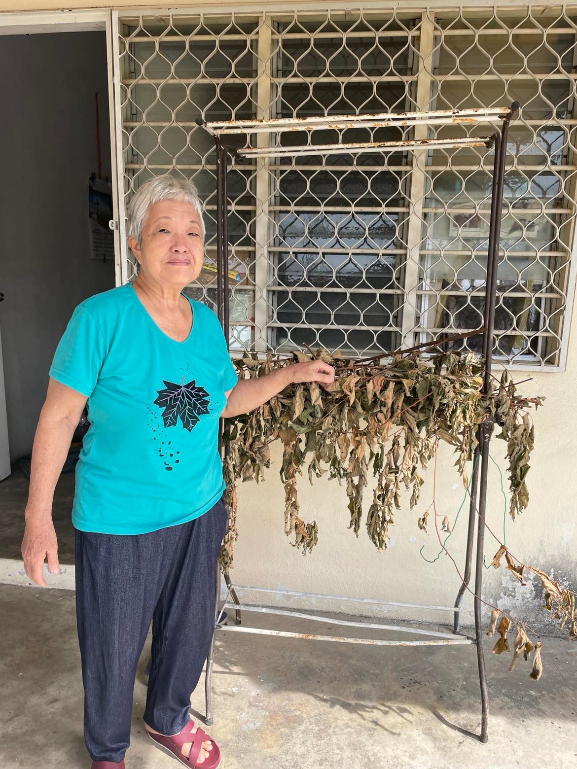 交大都会:有故事的人(4月19日见报):封庆容热衷习传统草药药理