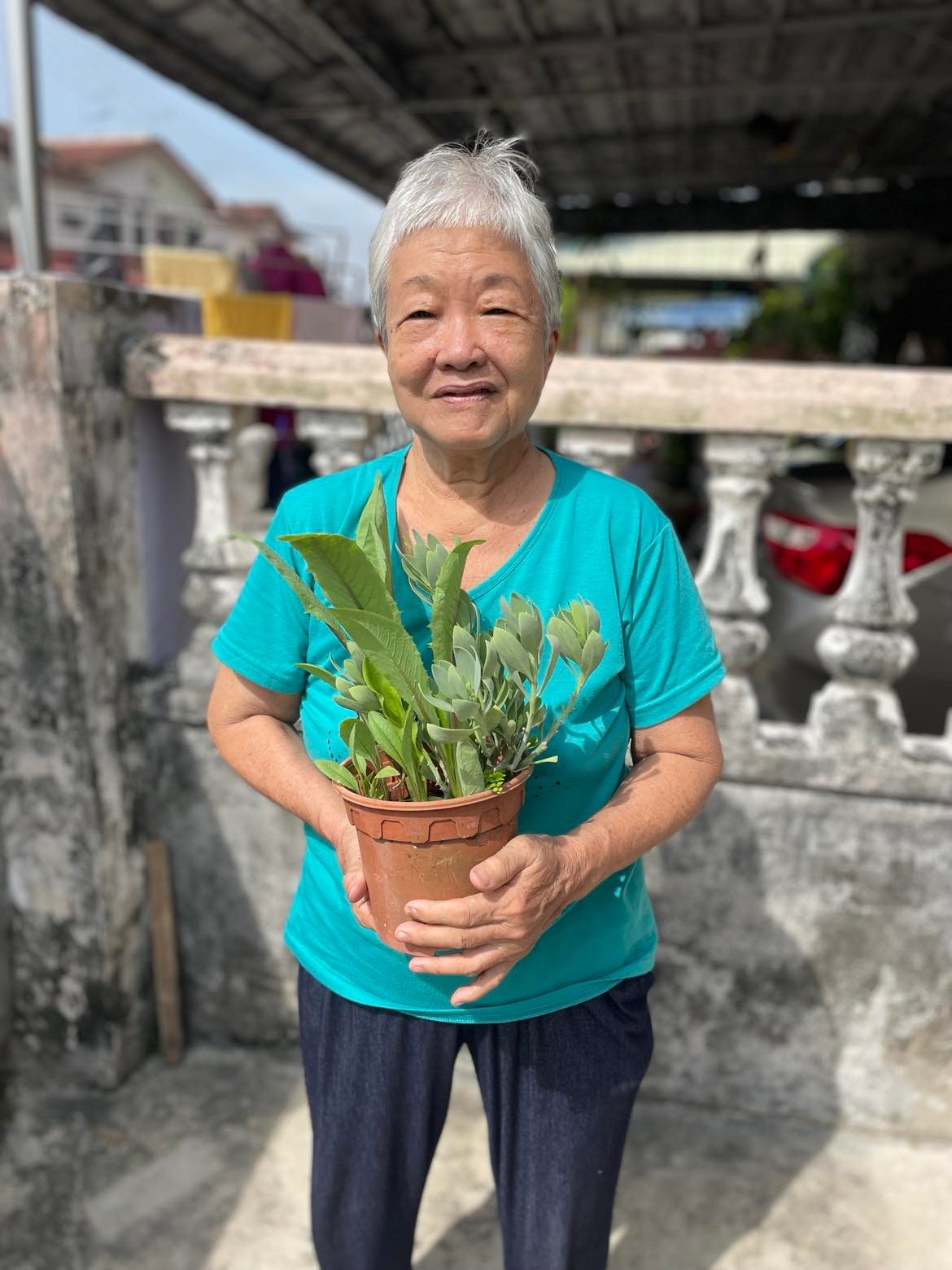 交大都会:有故事的人(4月19日见报):封庆容热衷习传统草药药理