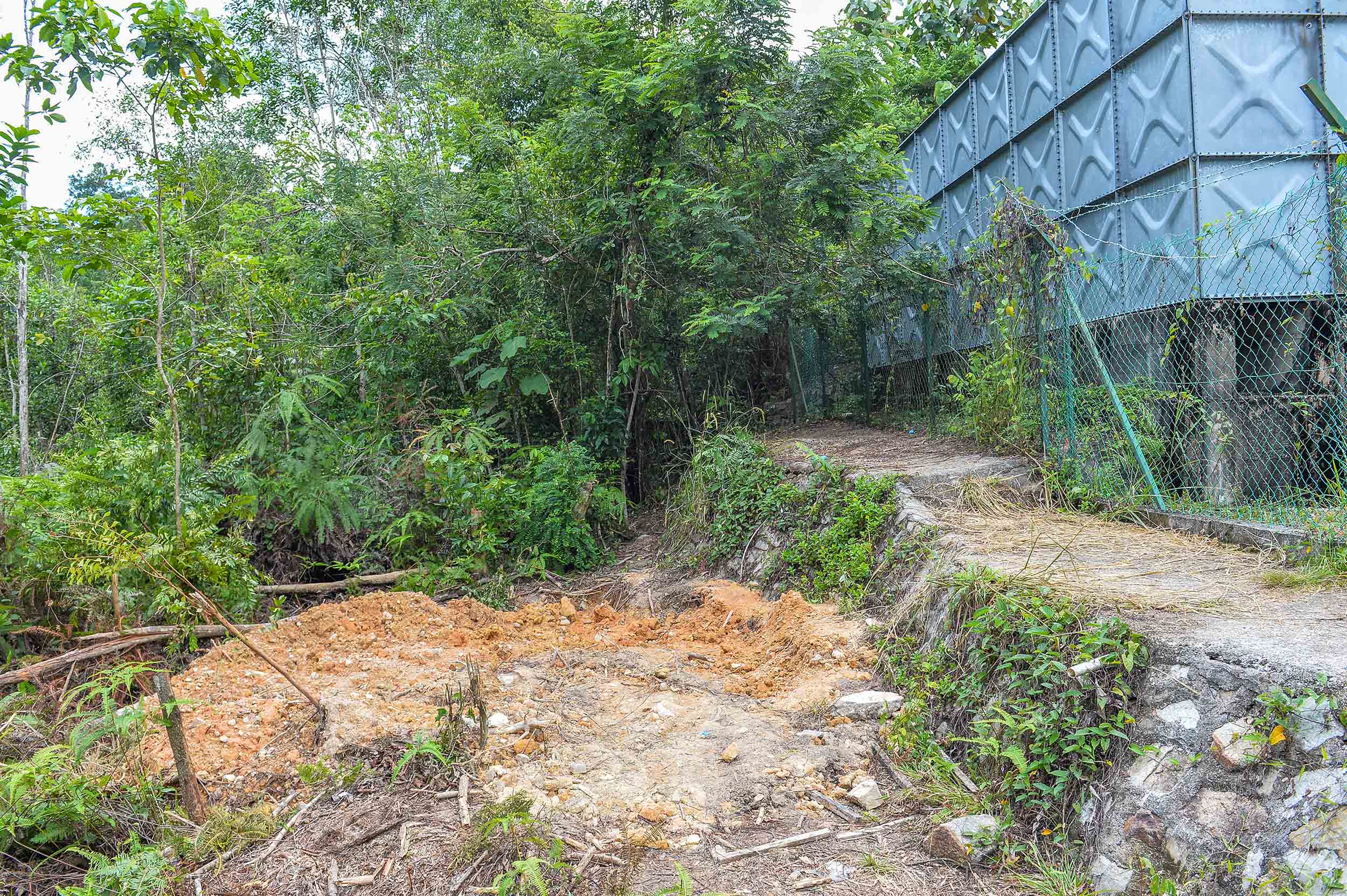 全国版/芙断崖岭弃尸案突破性进展,5岁女童骸骨终于找到了