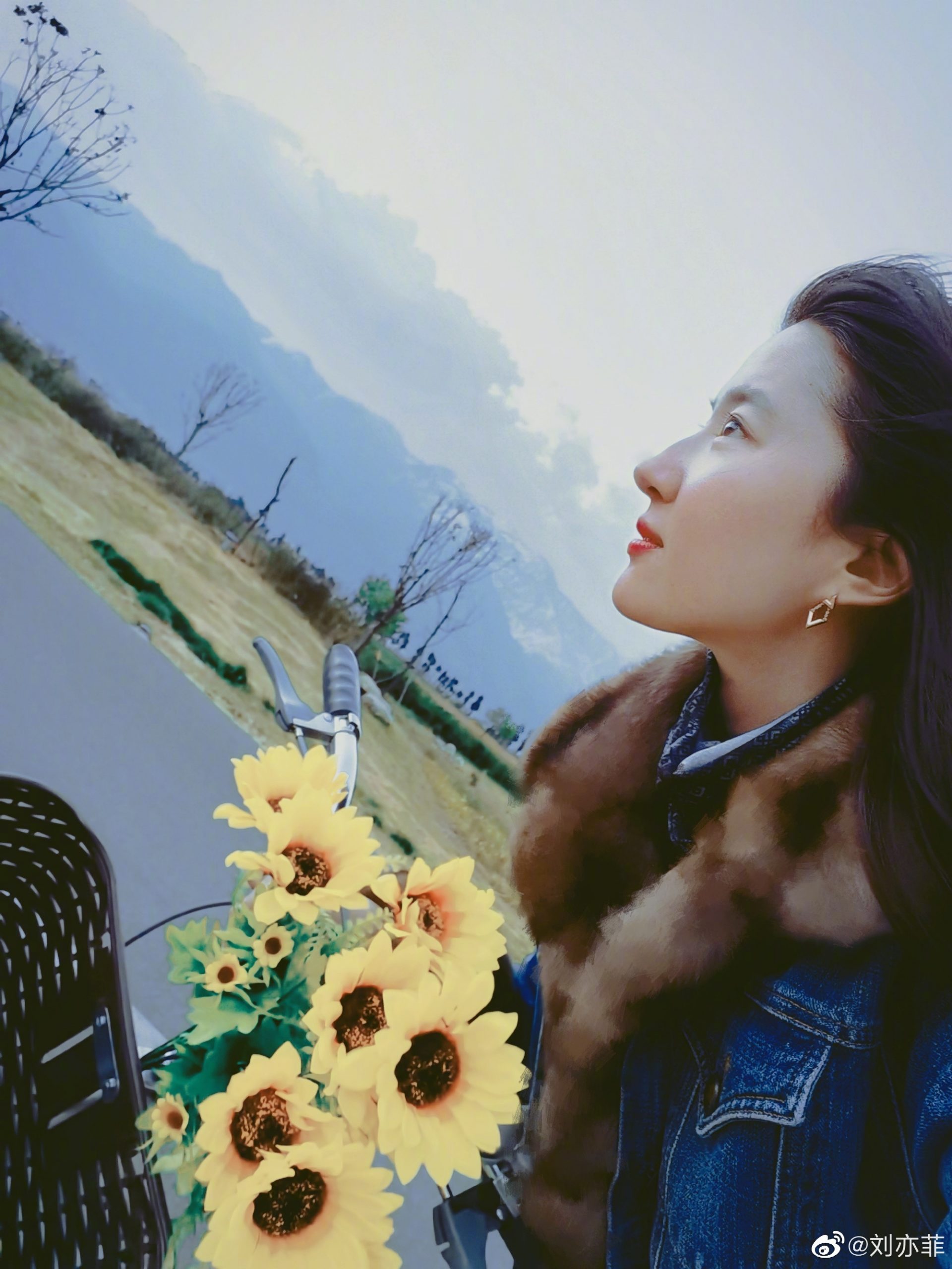 刘亦菲李现粉丝骂战不断 剧组忧成“清朗行动”目标