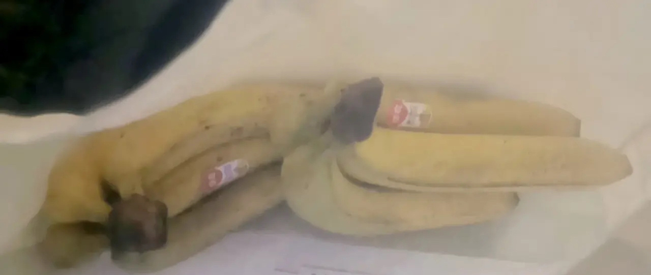 吴尊移居上海遇封城 做检测暖送医护员香蕉