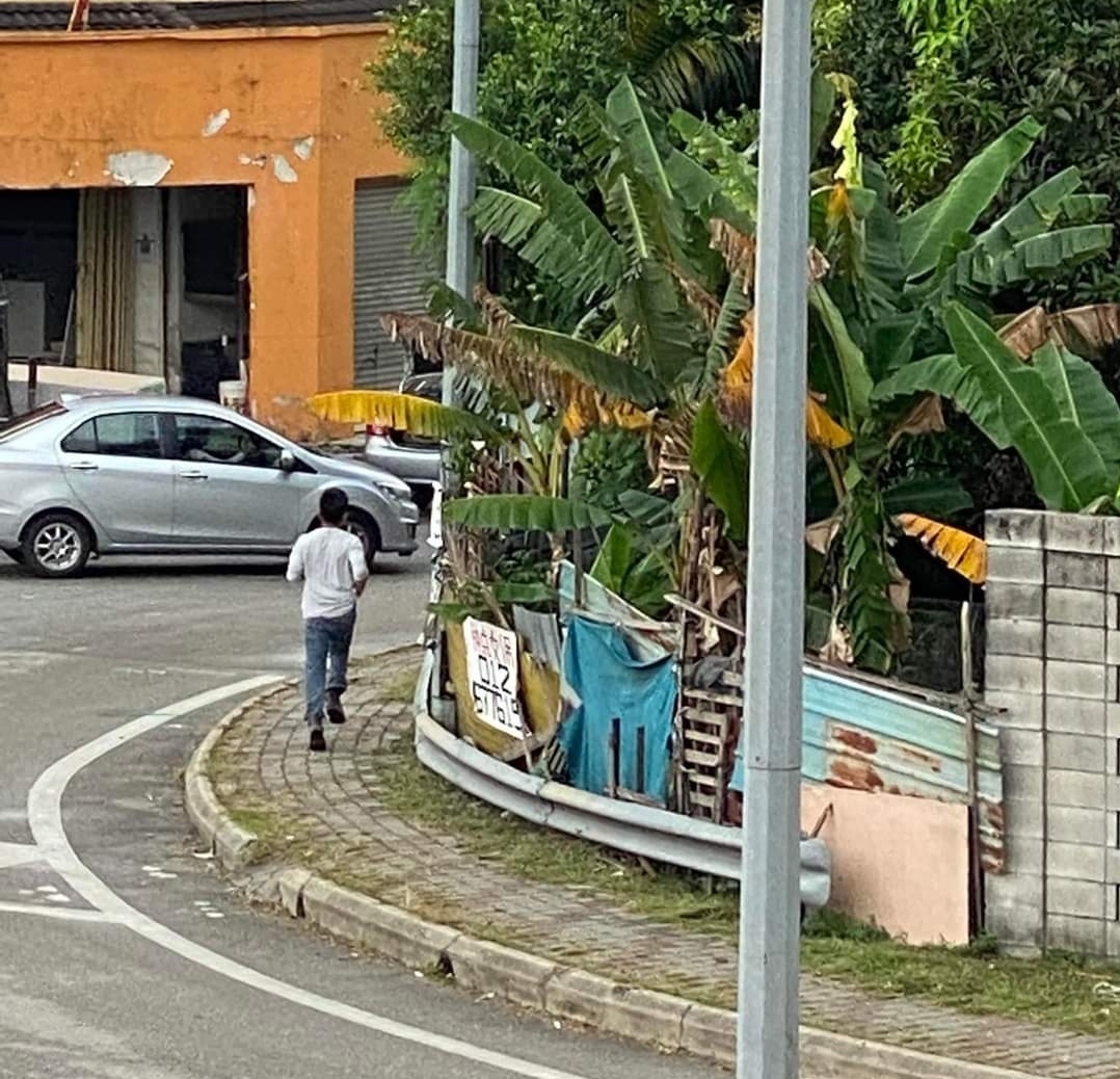 大都会/蕉赖南区行人天桥出现露宝男吓坏两女子/2图