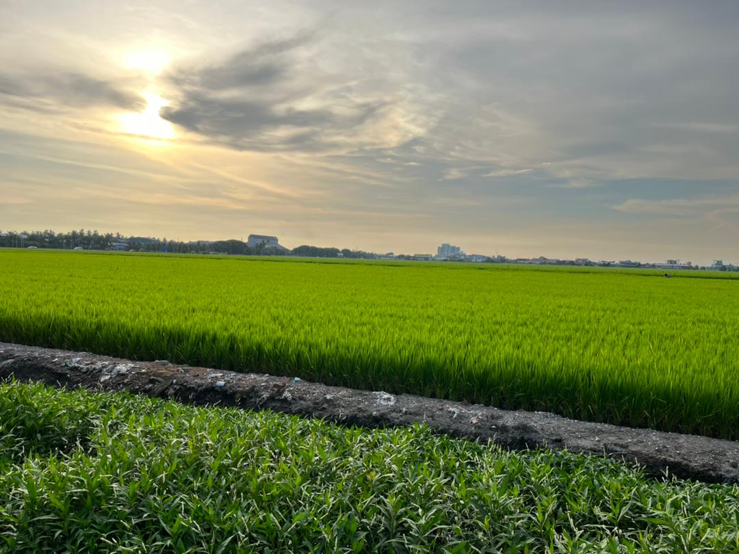 大都会/me03头/适耕庄旅游业持续加温