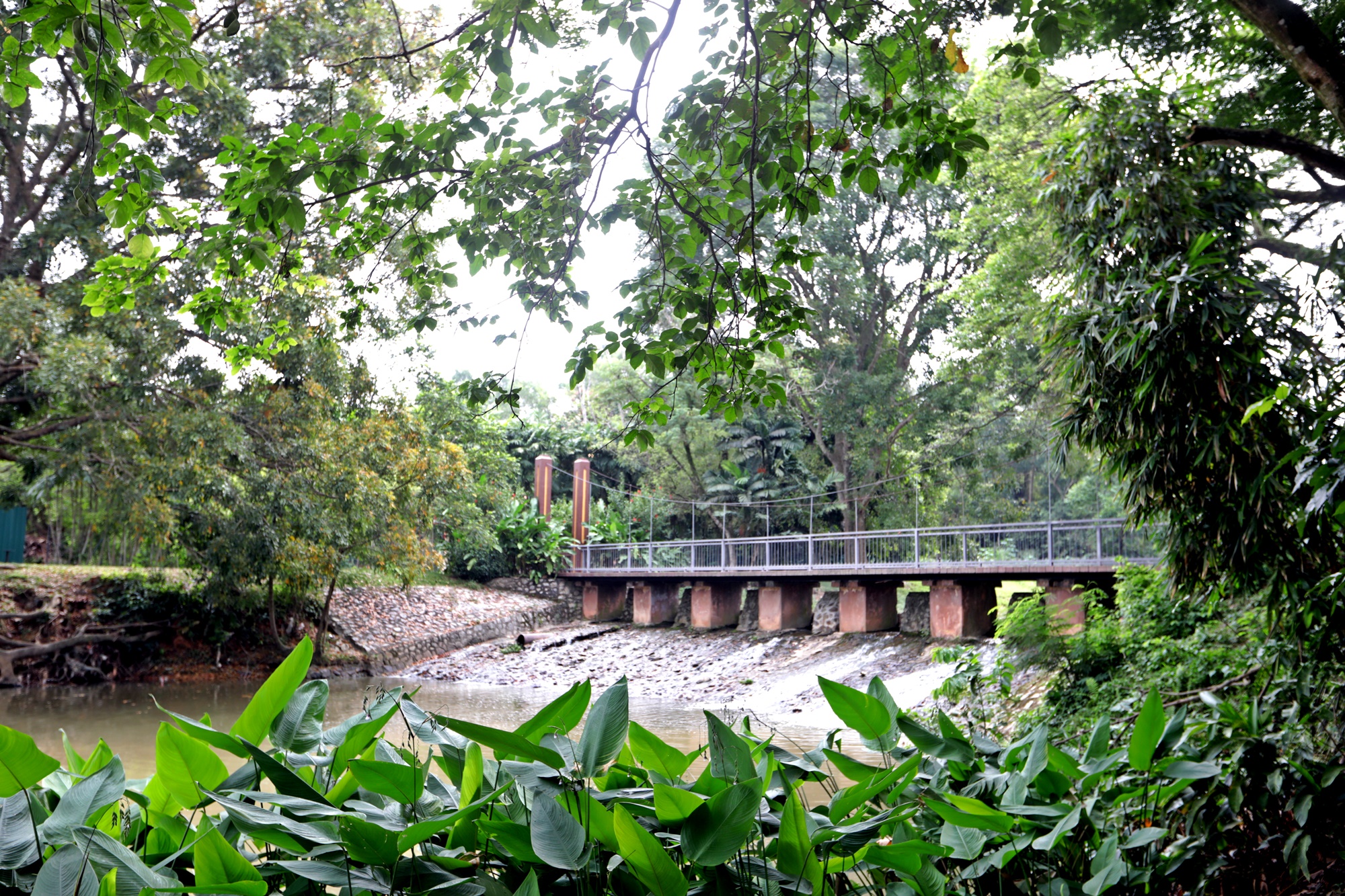 封面主文(大都会)黄思汉巡视蒲种公主城城市公园/5图