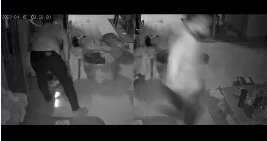 小偷入屋偷窃·却被小猫吓得落荒而逃