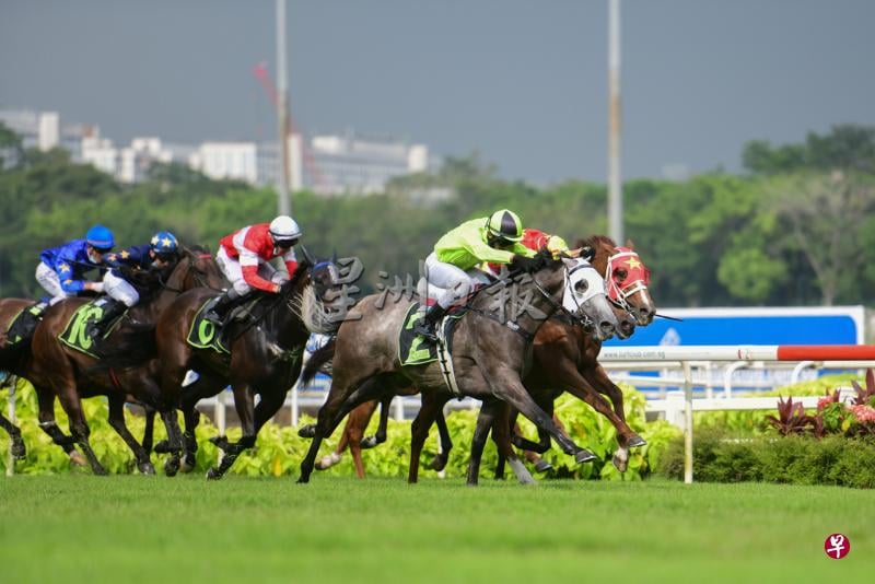 **已签发**:柔:狮城二三事:防疫措施放宽,新加坡马场关闭两年后30日重开