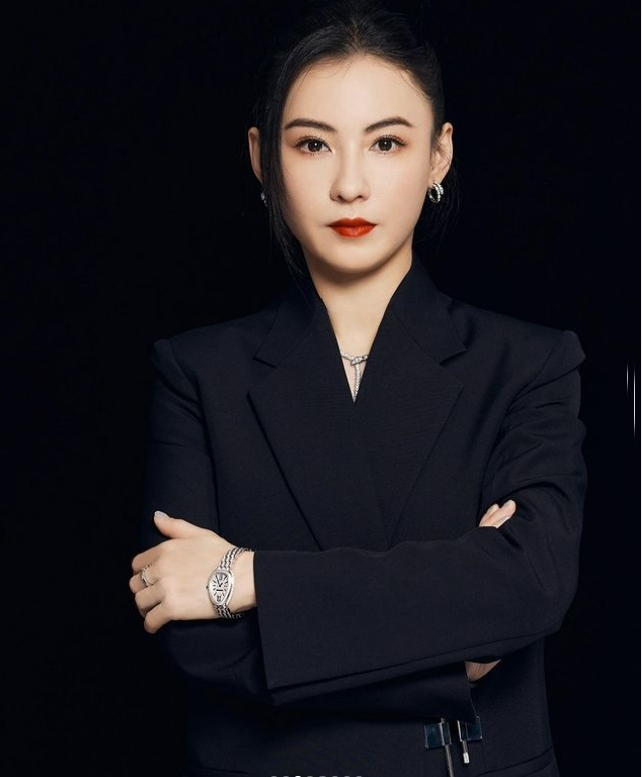 张柏芝豪宅院子堪比游乐场 大型儿童玩具数不清